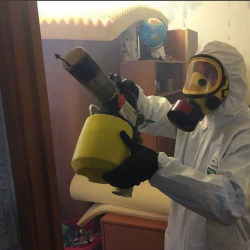 Уничтожение клопов в квартире. Буденновск